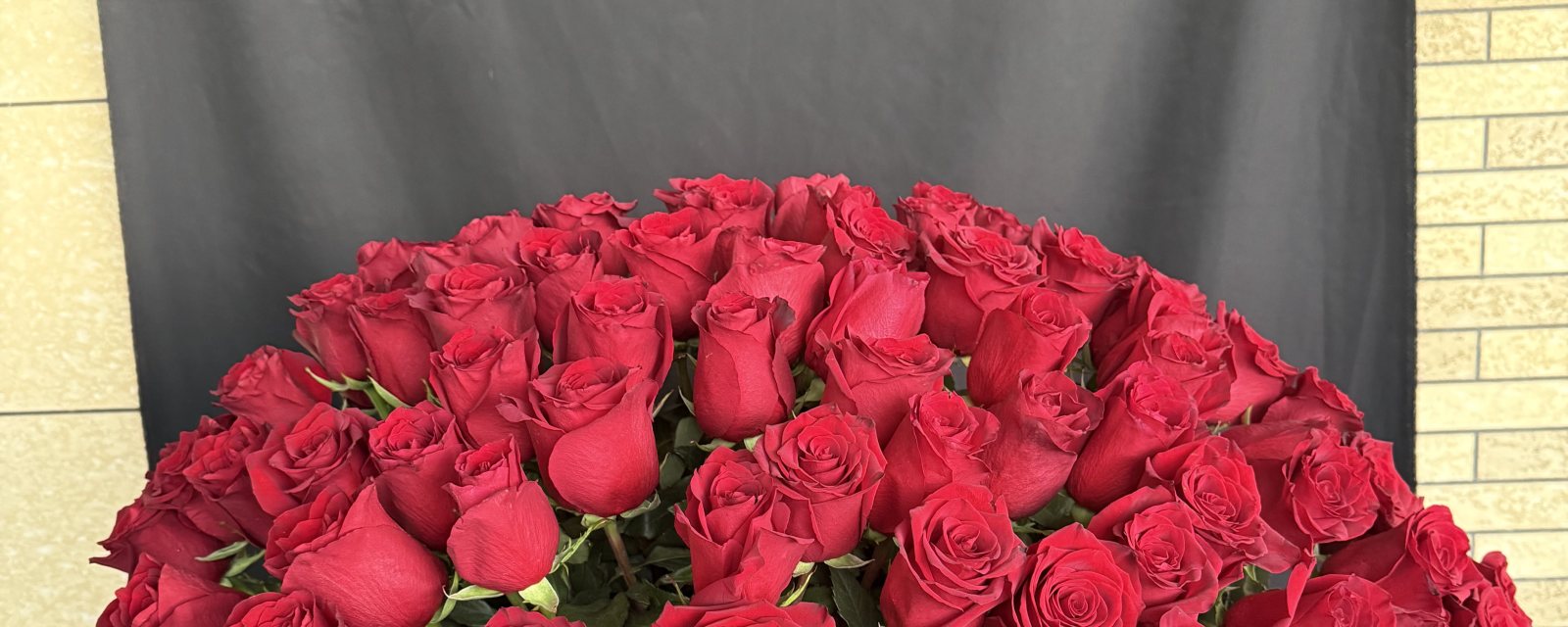 Roses You Will Love