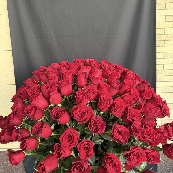Roses