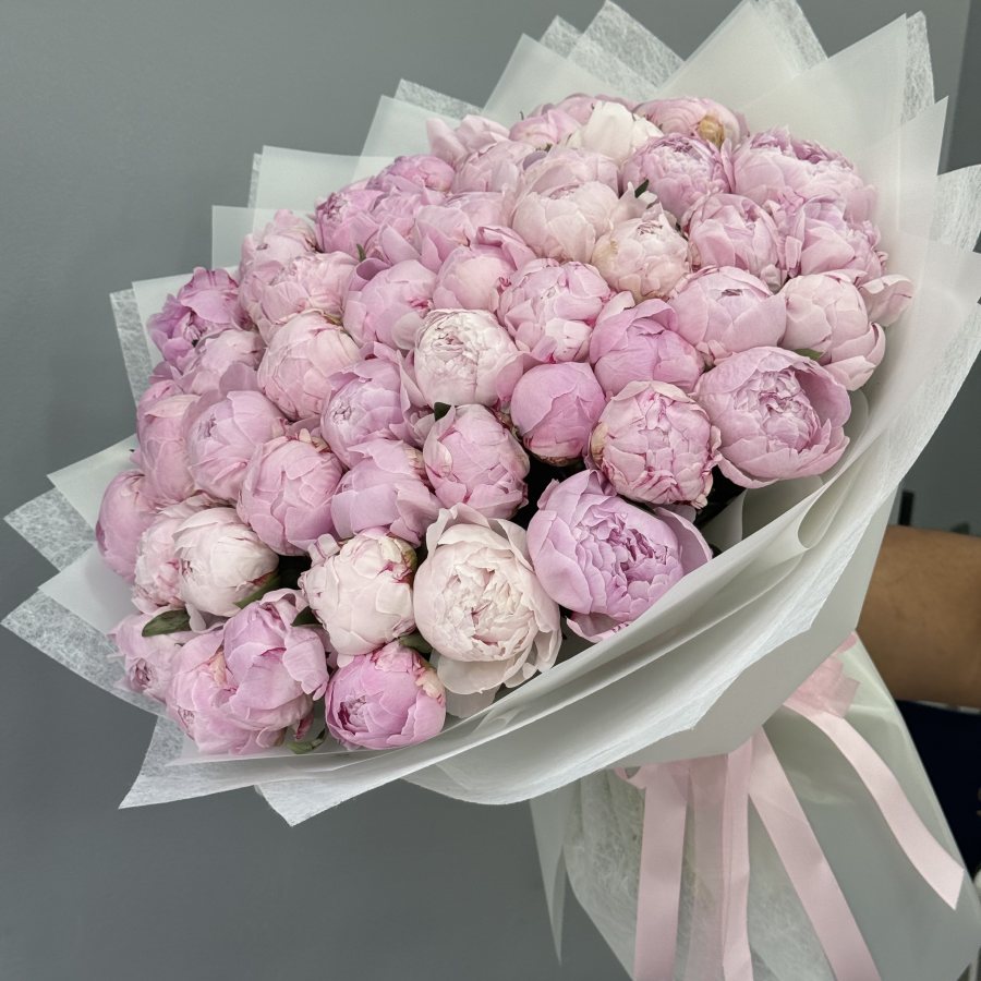 Pink Roses in Wrap
